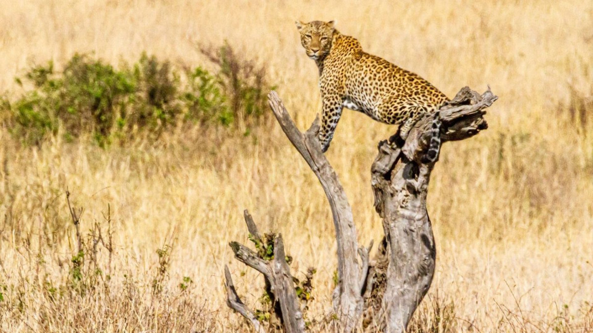 Kidepo National Park