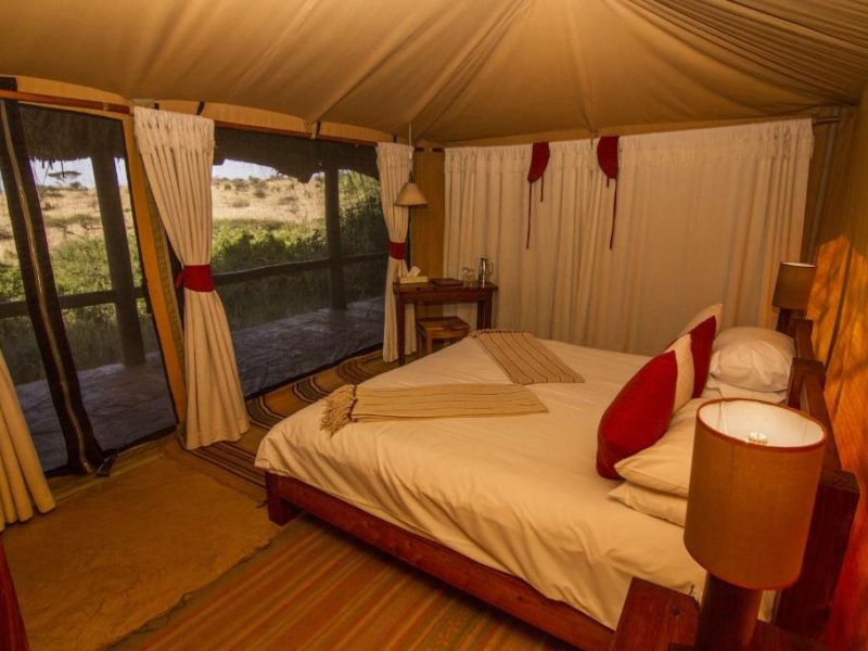 Safari Tent Lewa Camp