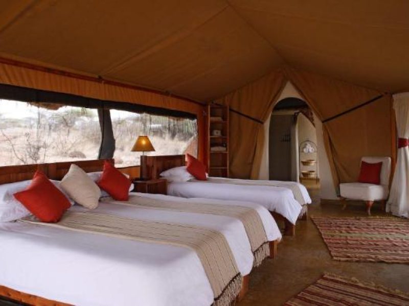 Safari Tent Triple Lewa Camp