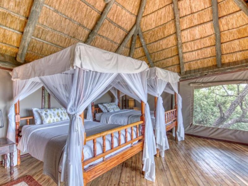 Safari Room Triple Tent Soroi