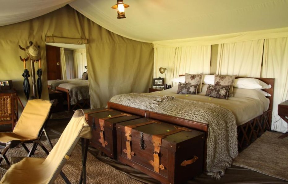 Triple Safari Tent Pioneer Camp