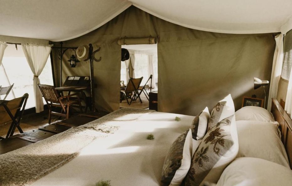 Triple Safari Tent Pioneer Camp