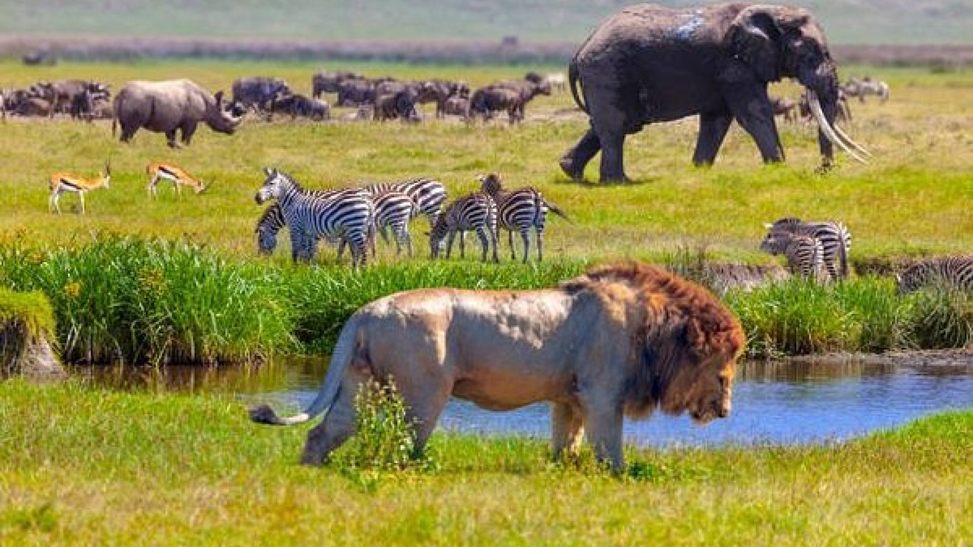 Serengeti National Park
