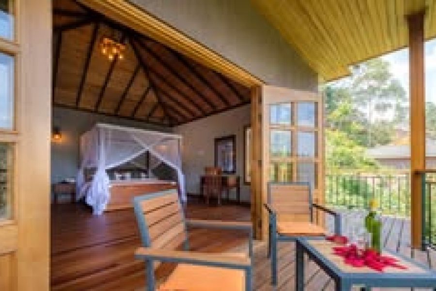 3-Day Chimpundu Safari Lodge Chimpanzee Trekking