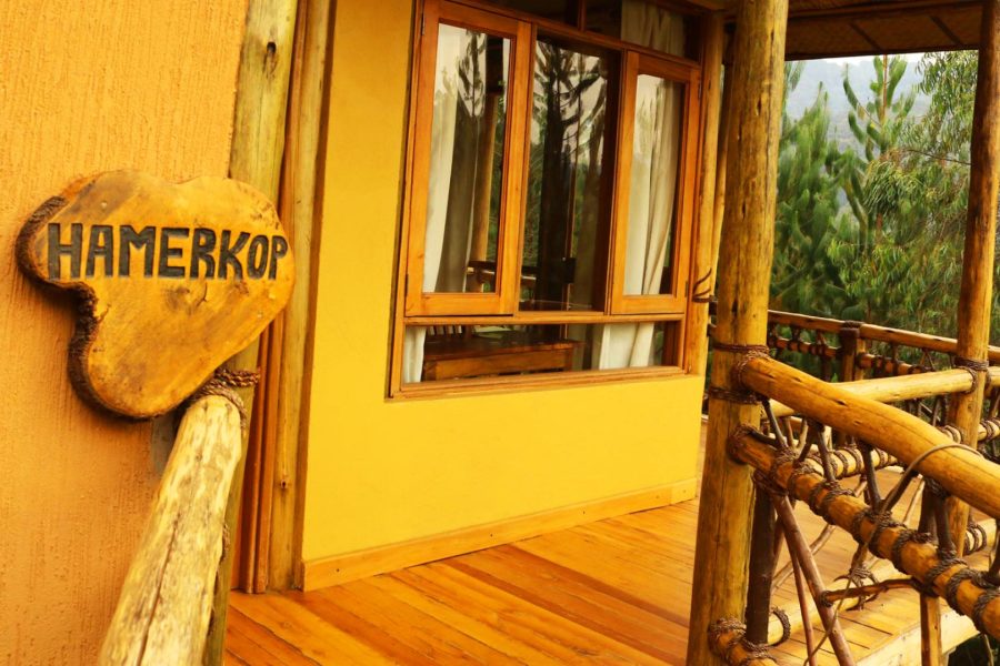 Ichumbi Gorilla Lodge Gorilla Trekking
