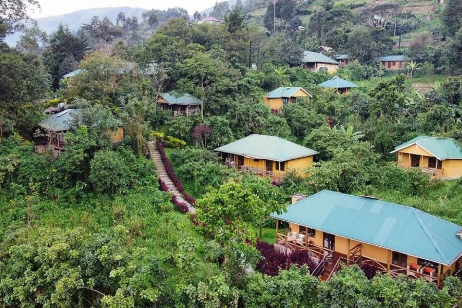 3-Day Gorilla Safari Lodge Gorilla Trekking