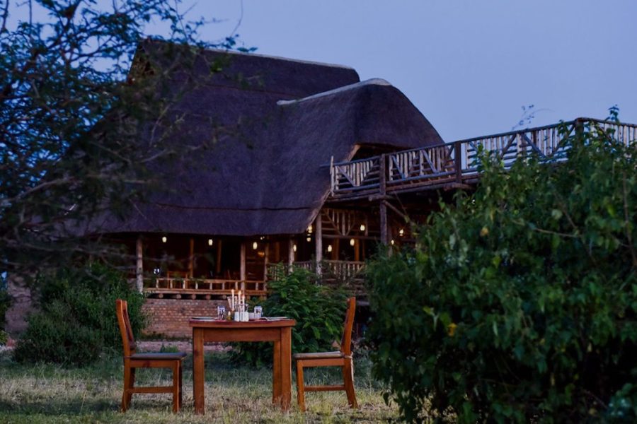 Tibingi Safari Lodge Gorilla