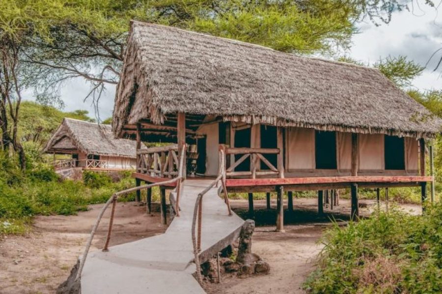 3-Day Roika Tarangire Tented Lodge Safari