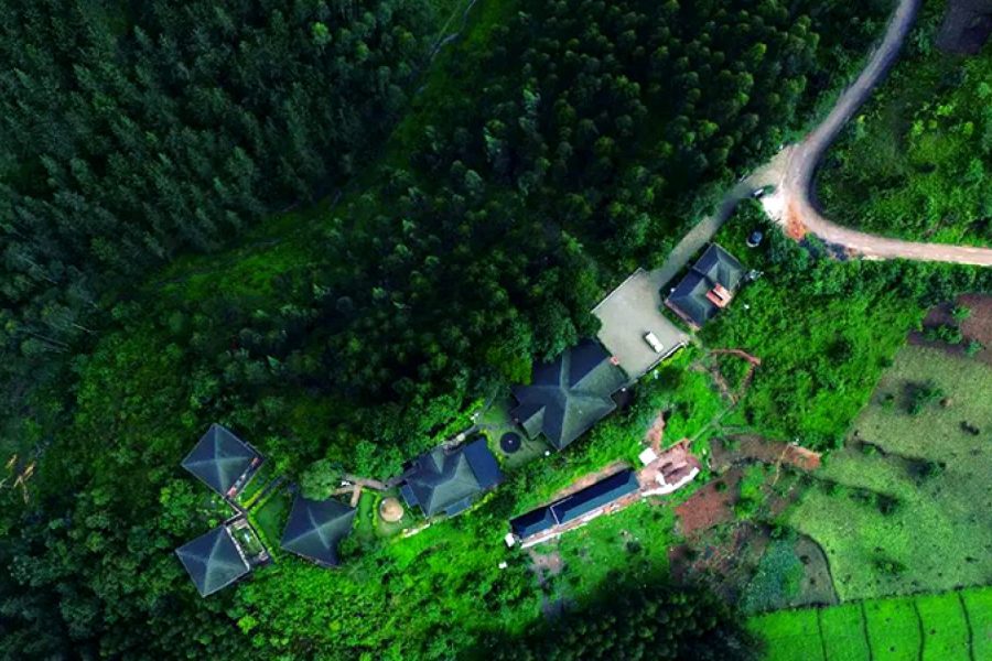3-Day Gorilla Leisure Lodge Gorilla Trekking