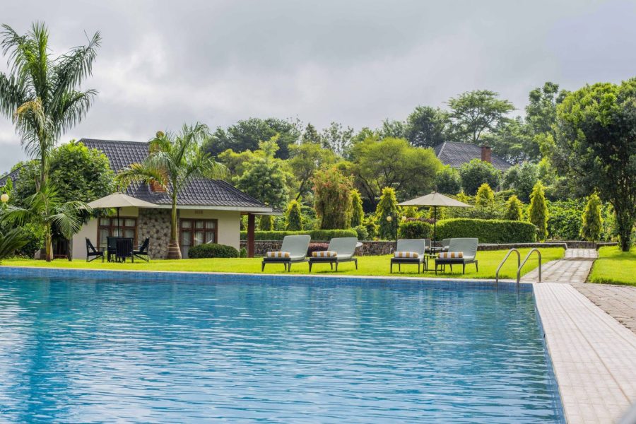 2-Day Ngorongoro Coffee Lodge Safari