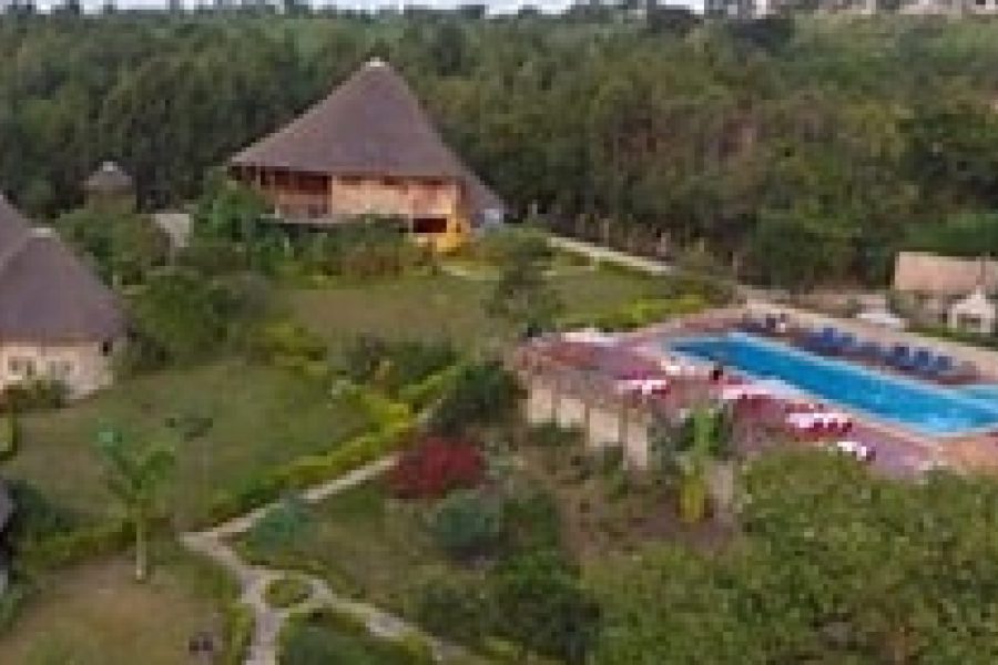 3-Day Igwara Lodge Safari