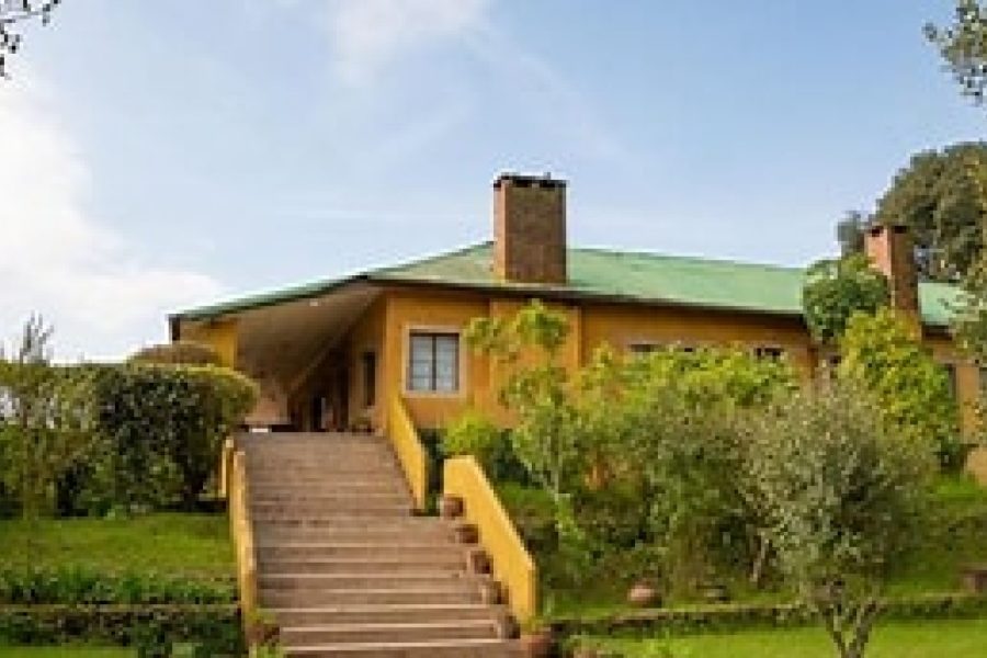 2-Day Ngorongoro Rhino Lodge Safari