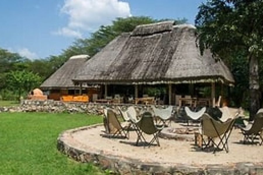3-Day Entikko Safari Lodge Safari
