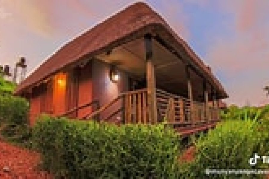 3-Day Amuka Safari Lodge Safari