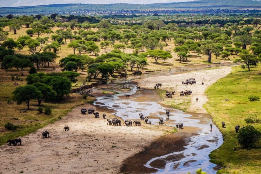 3-Day Tarangire Safari Lodge